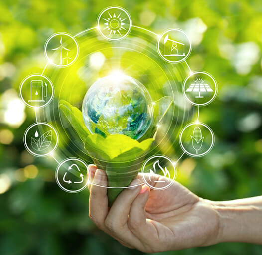 Sustainable Sourcing